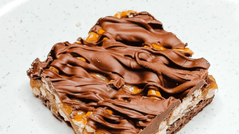 Chocolate Caramel Pretzel Bar